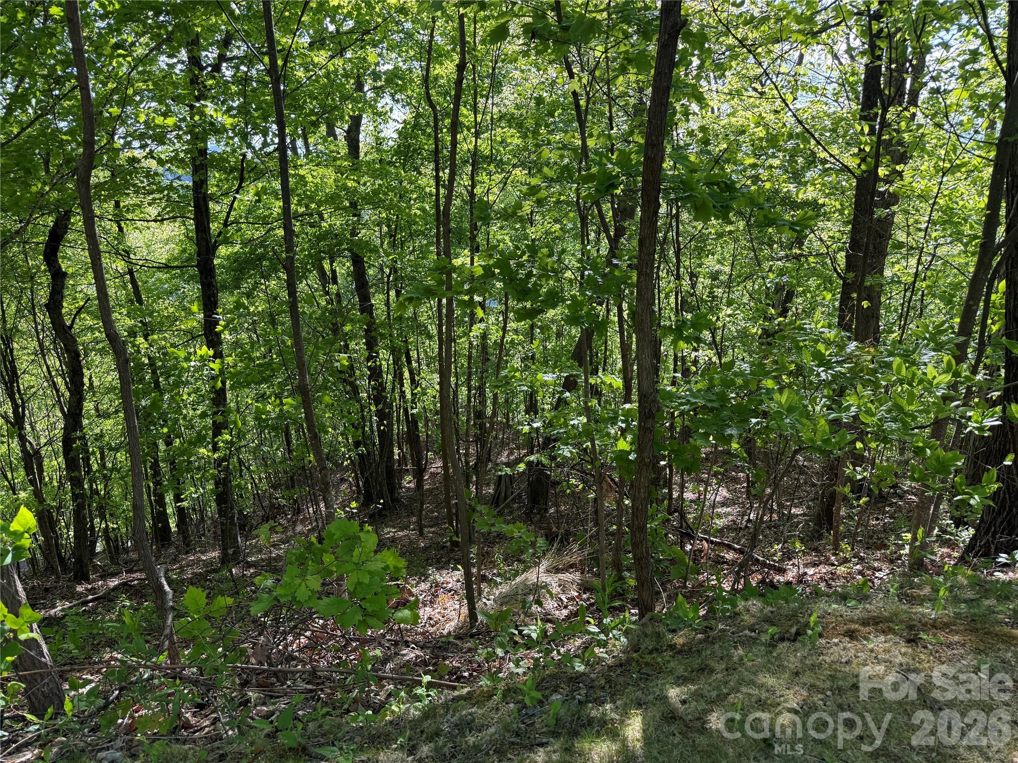 Lot 9 & 10 Andrew Banks Road thumbnail image 4
