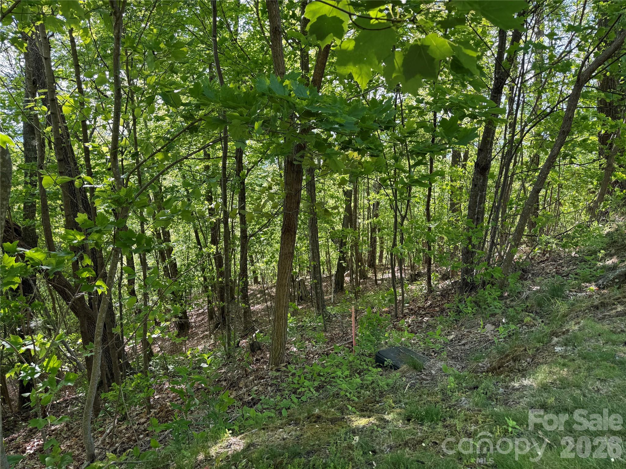Lot 9 & 10 Andrew Banks Road thumbnail image 5