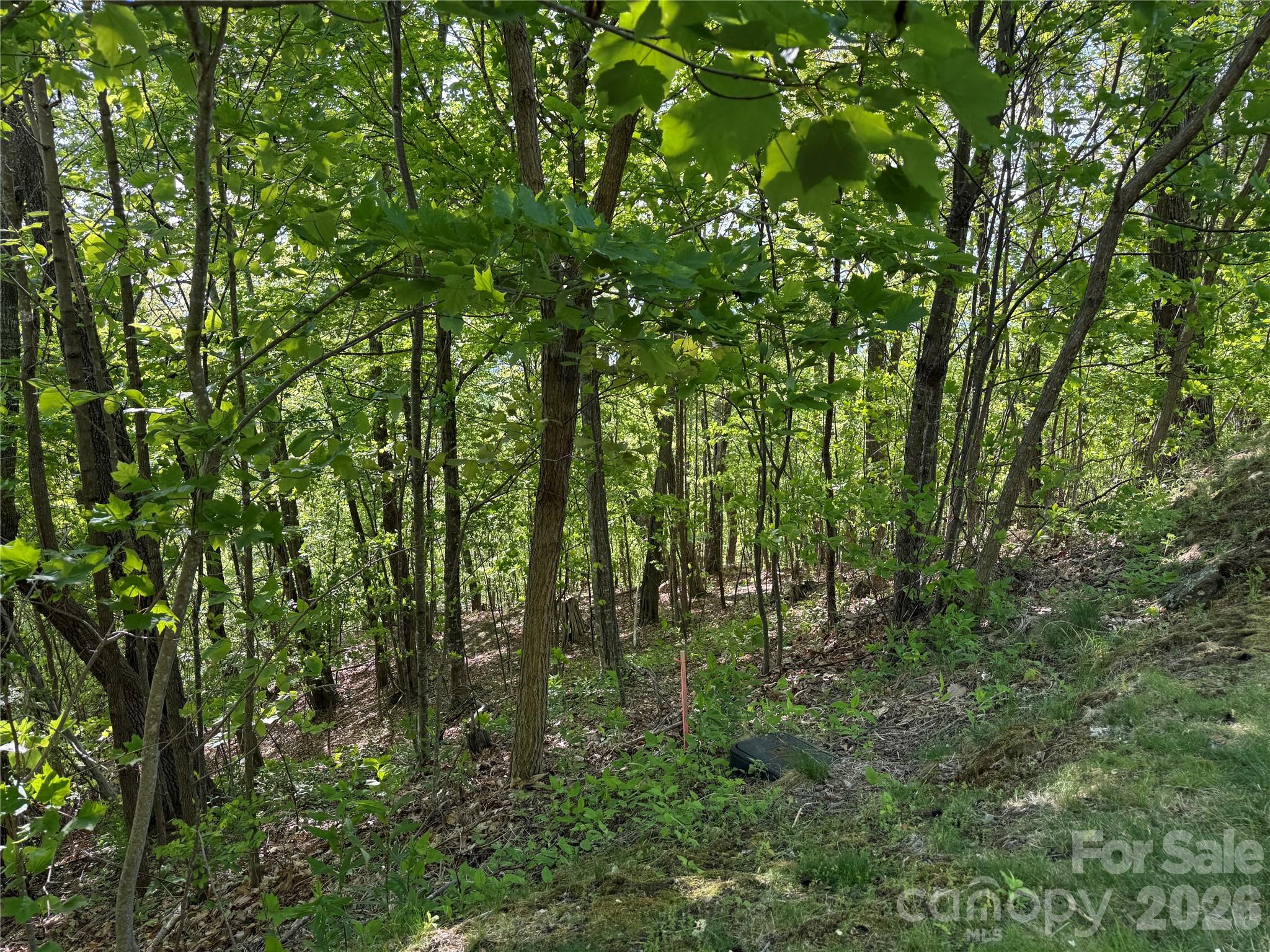 Lot 9 & 10 Andrew Banks Road thumbnail image 6