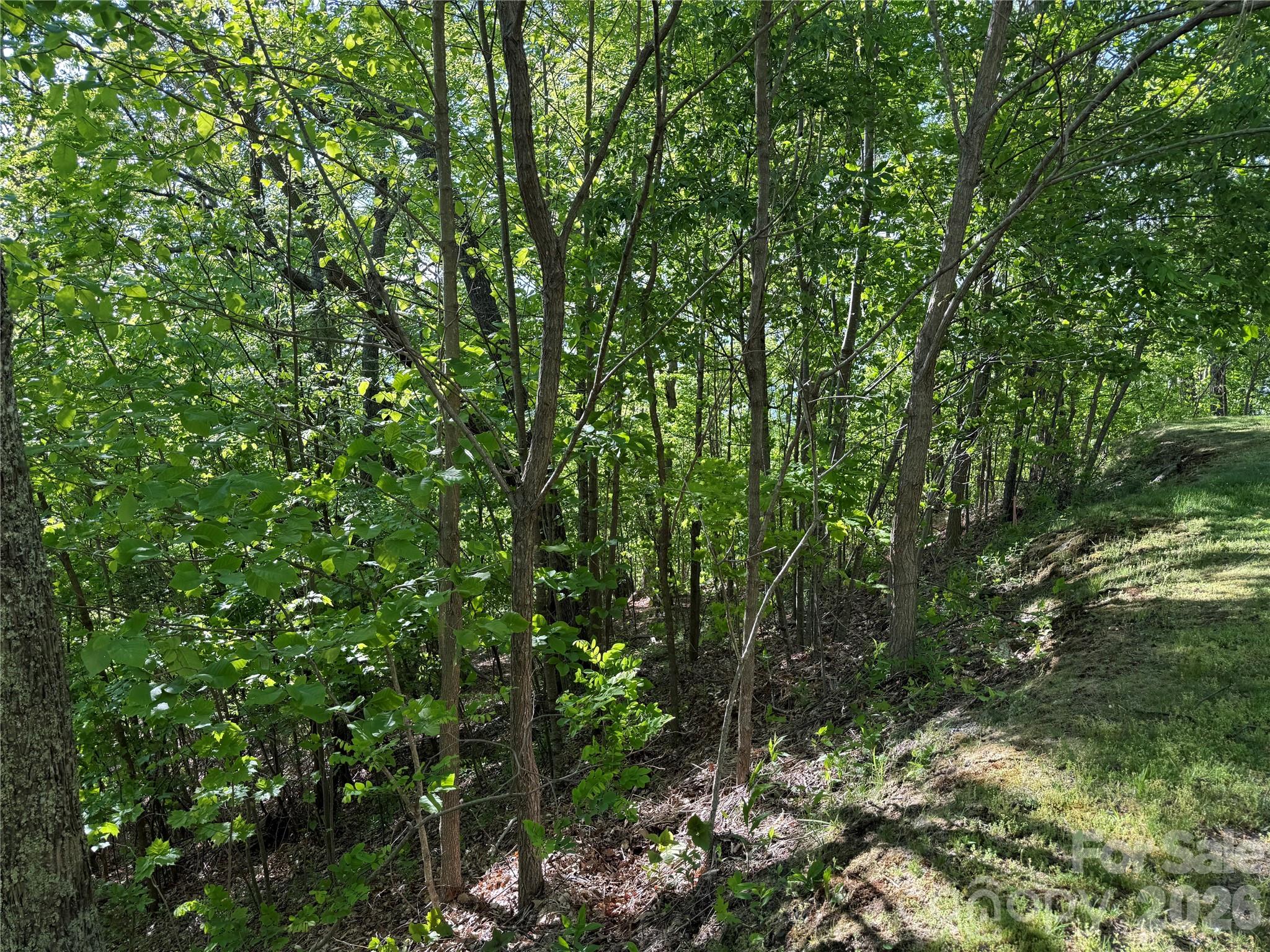 Lot 9 & 10 Andrew Banks Road thumbnail image 7