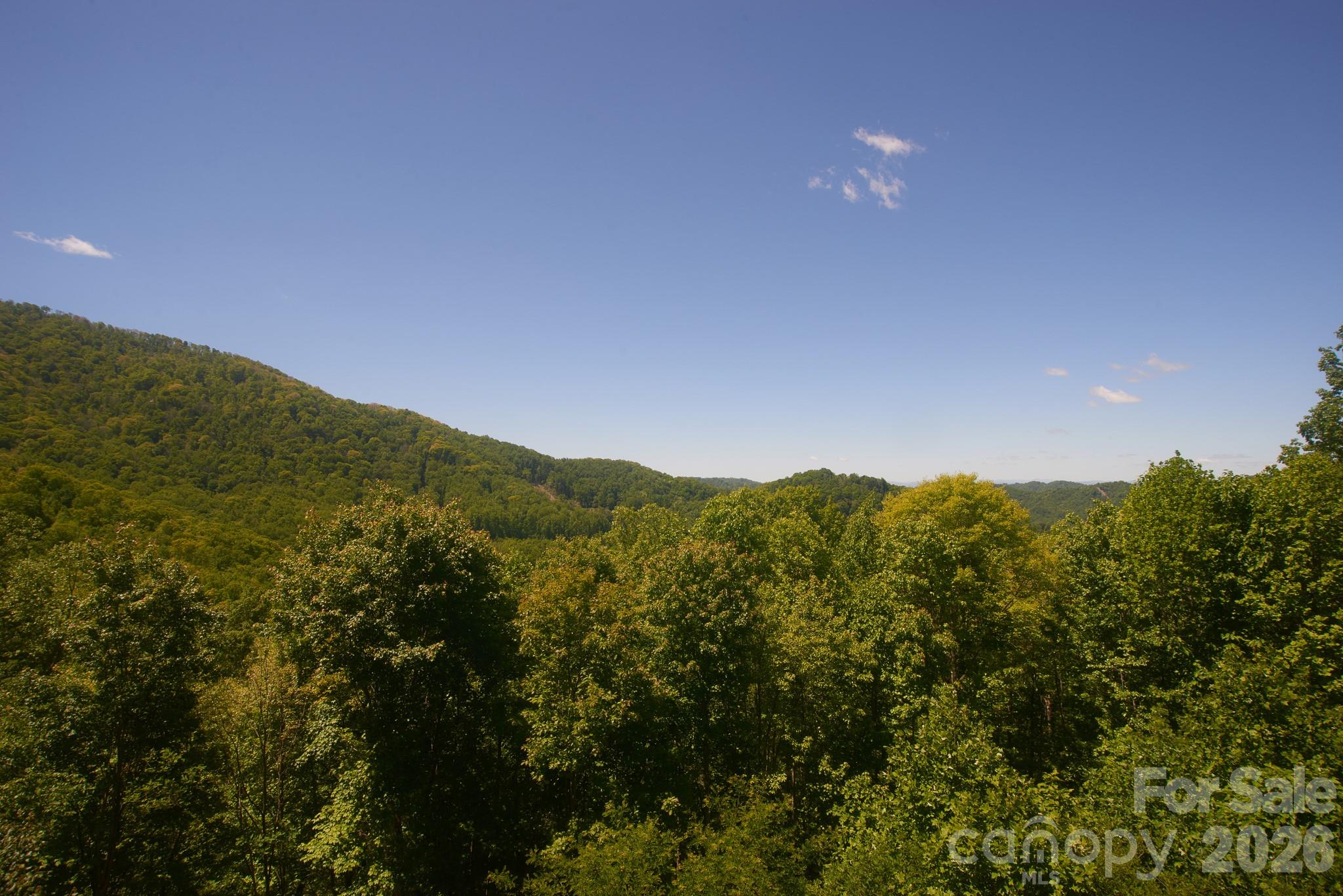427 Spring Rock Road thumbnail image 16