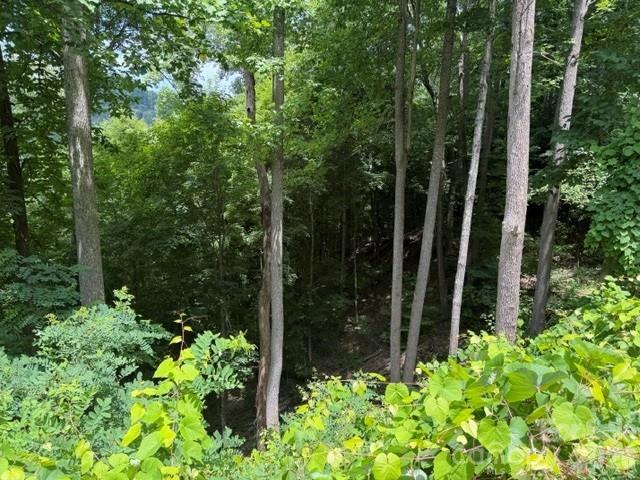 Lot 22 Spring Rock Road thumbnail image 2