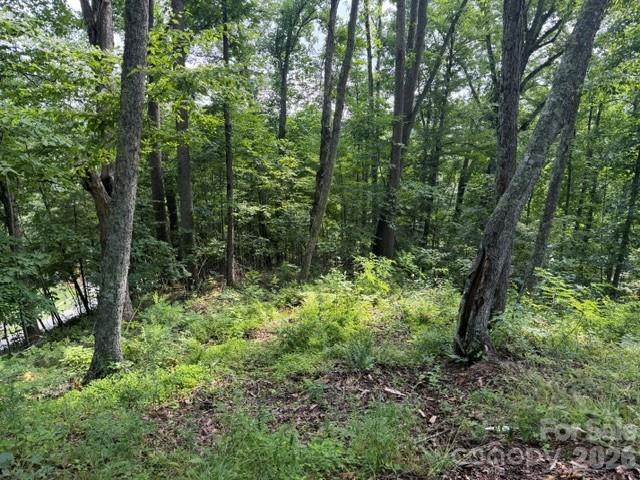 Lot 91 Apple Brandy Way thumbnail image 9