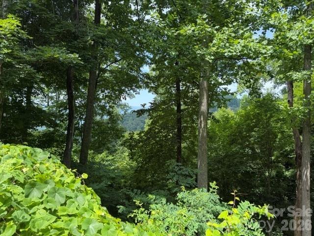 Lot 22 Spring Rock Road